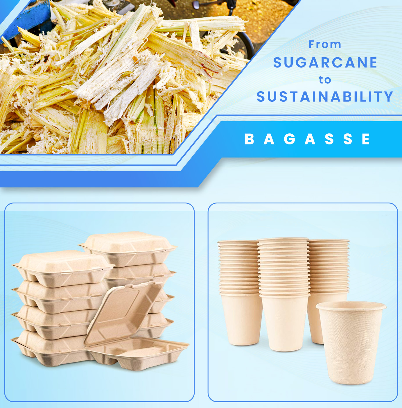 Bagasse Cups