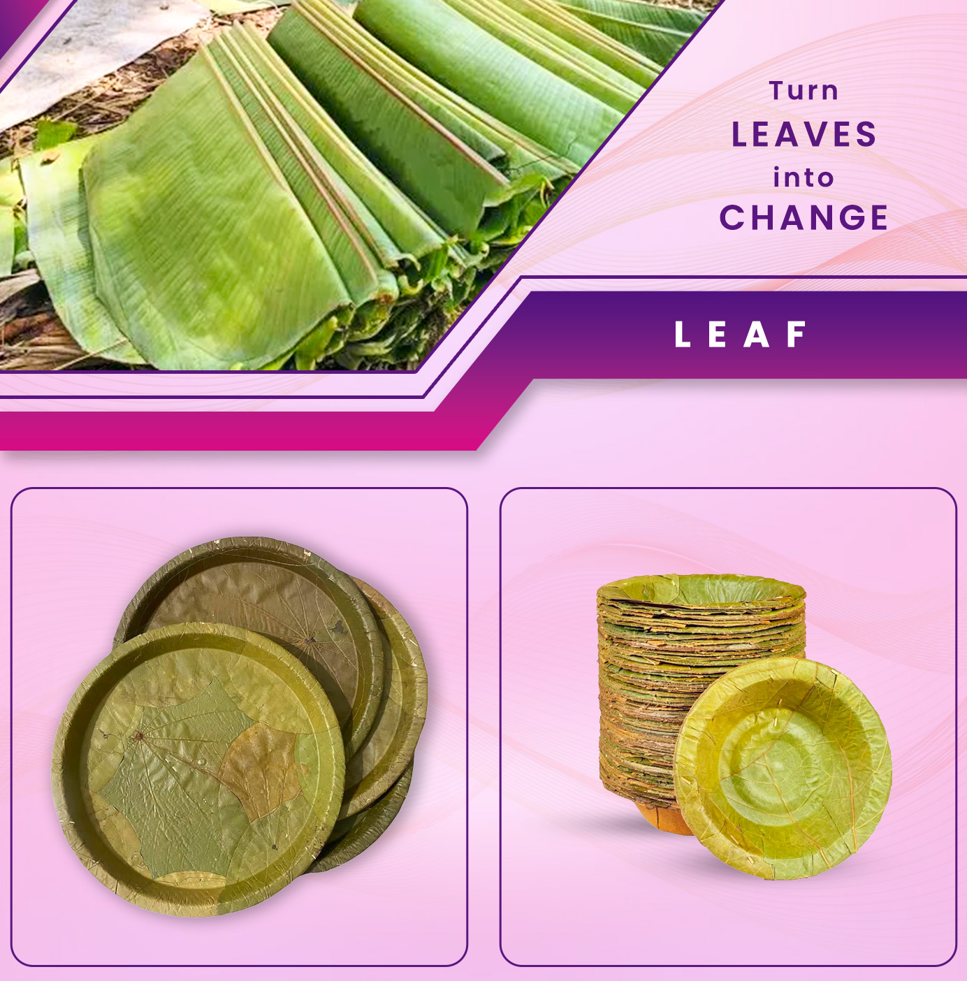 Leaf