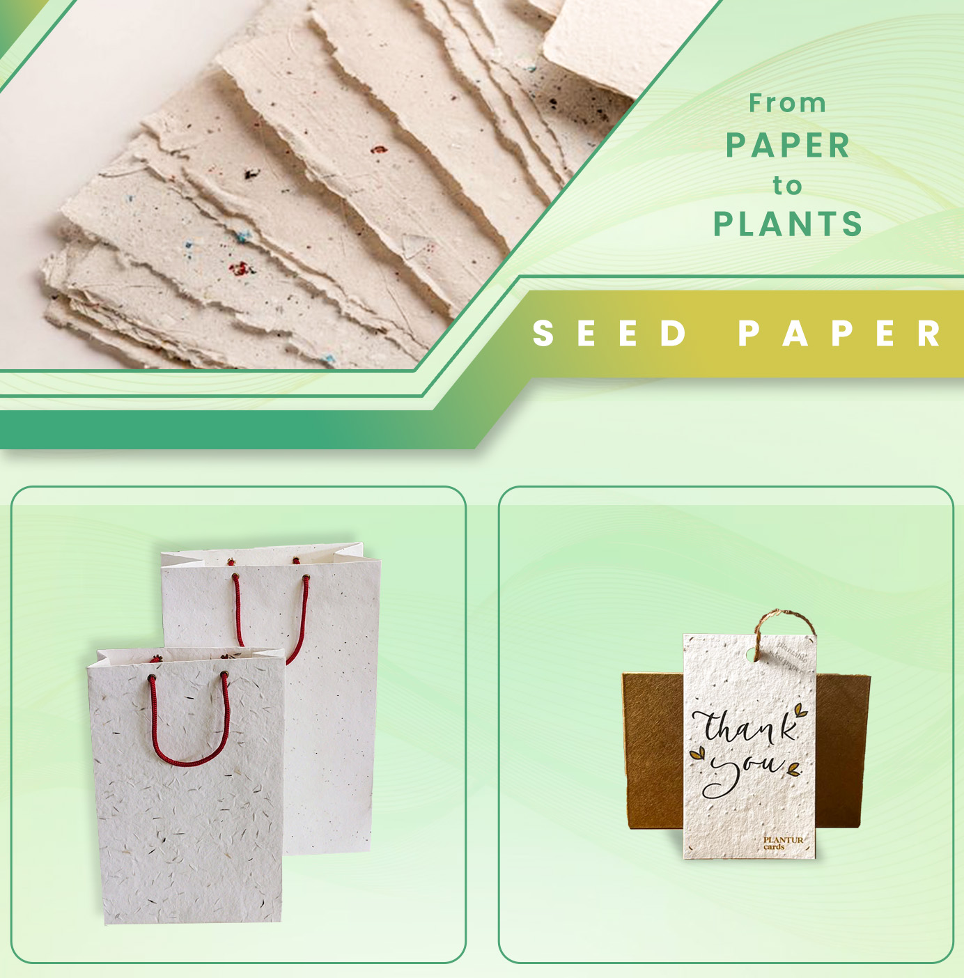 Seed Paper